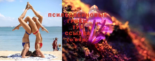 стаф Алексеевка
