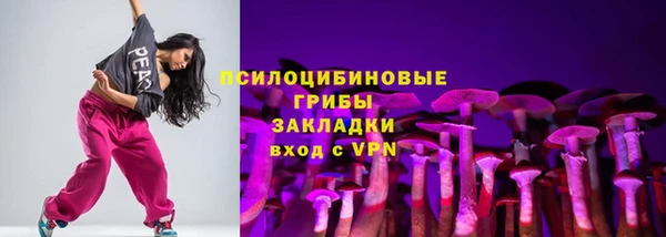 винт Алексин