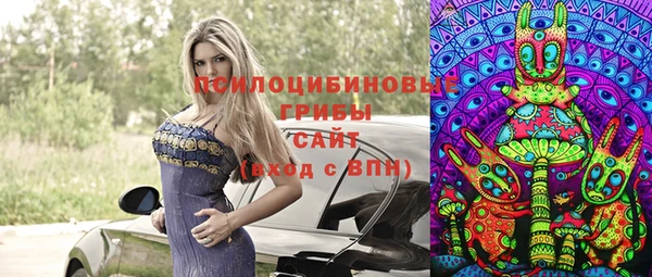 соль ск Алзамай