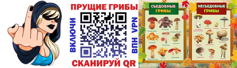 Галлюциногенные грибы мухоморы  Зеленоградск 
